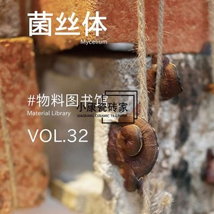 新型装饰持续环保材料菌丝体背景装饰艺术装置店铺装修设计空间