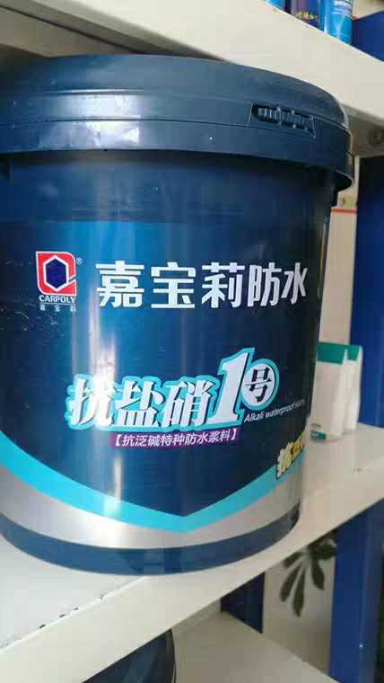 嘉宝莉 防水 抗盐硝号 抗泛碱 抗白硝 特种防水浆料 G .G