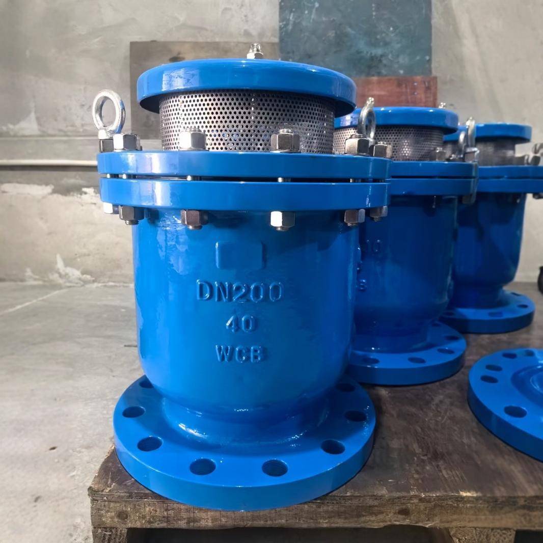 04不锈钢CARX复合式排气阀SCAR污水排气阀法兰快速放气阀