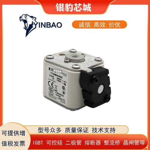 170M4458 170M4459 170M4460 170M4461 170M4462 170M4463熔断器
