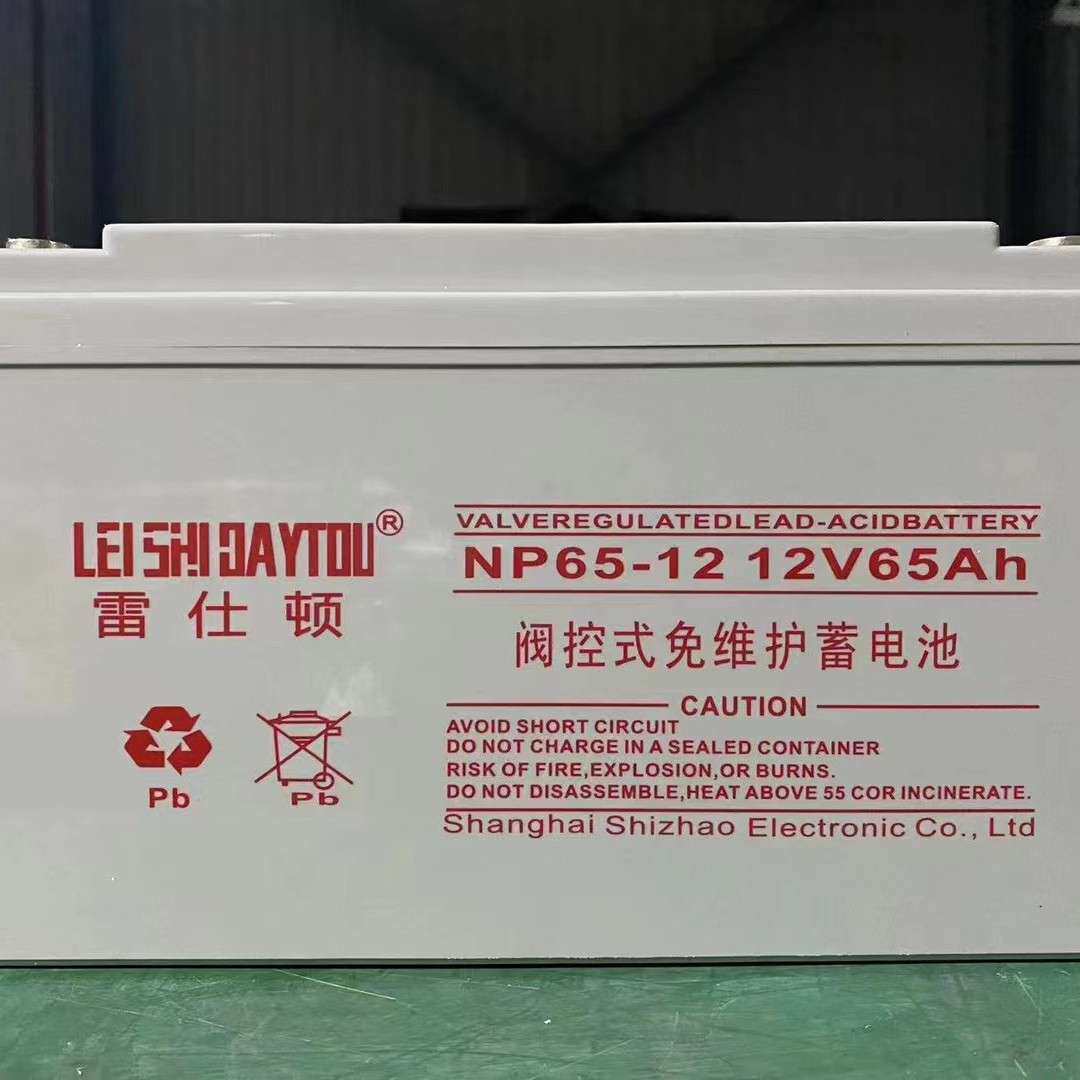 雷仕顿蓄电池 NP65-12/12V65AHups电源eps电源 铅酸蓄电池