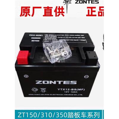 升仕ZT150/310/350-D/E/M胶体12Ah铅酸蓄电池摩托电瓶智能充电器