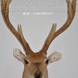 饰 装 工艺鹿头标本壁挂A11壁炉墙饰 乔迁开业礼物家居会所酒吧欧式