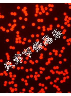 荧光微球/聚苯乙烯荧光微球/聚苯乙烯微球/红色/Ex 620nm/Em680nm