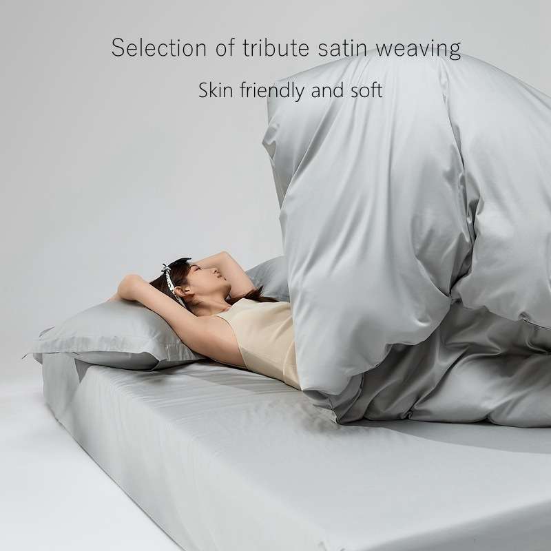 高端简约风100支长绒棉四件套 轻奢纯棉全棉床单被套床笠床上用品