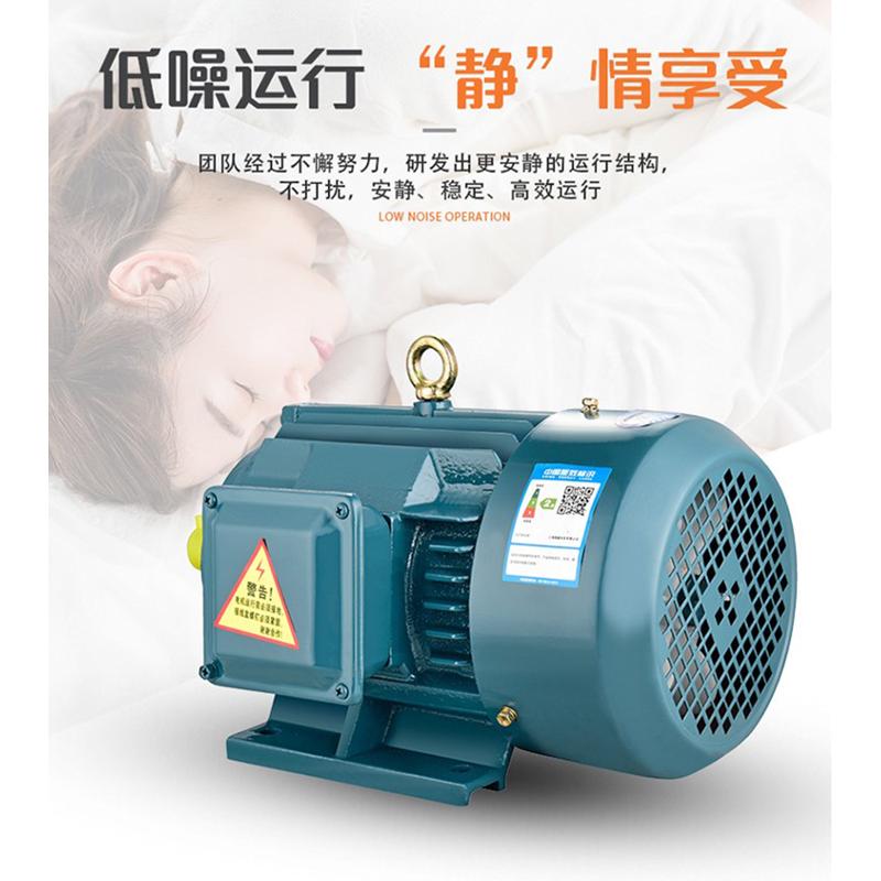 YX3 YE2 YE3-802 90S 90L 100L 112M 132S 160M-2 4P国标铜线电机