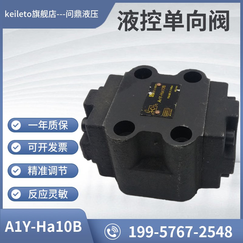 液控单向阀A1Y-Ha10B/A1Y-Hb1OB/A1Y-Ha20B/A1Y-Hb2S0B A1Y-Ha32B