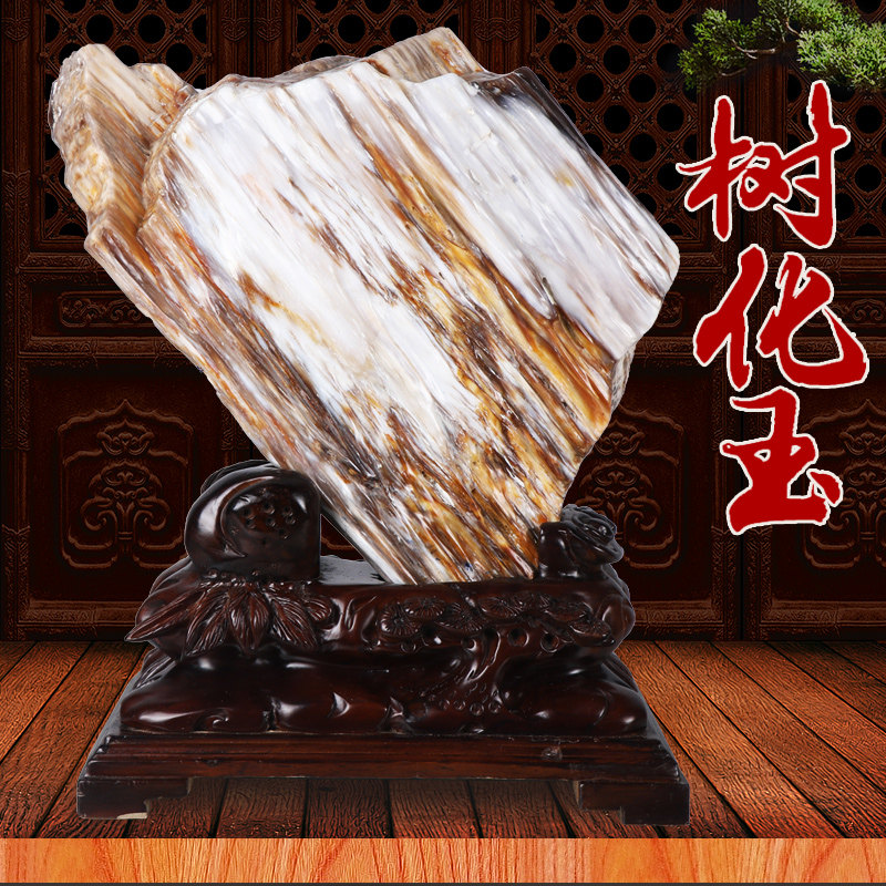 缅甸树化玉原石摆件天然冰种硅化木木化石奇石客厅景观石观光石头