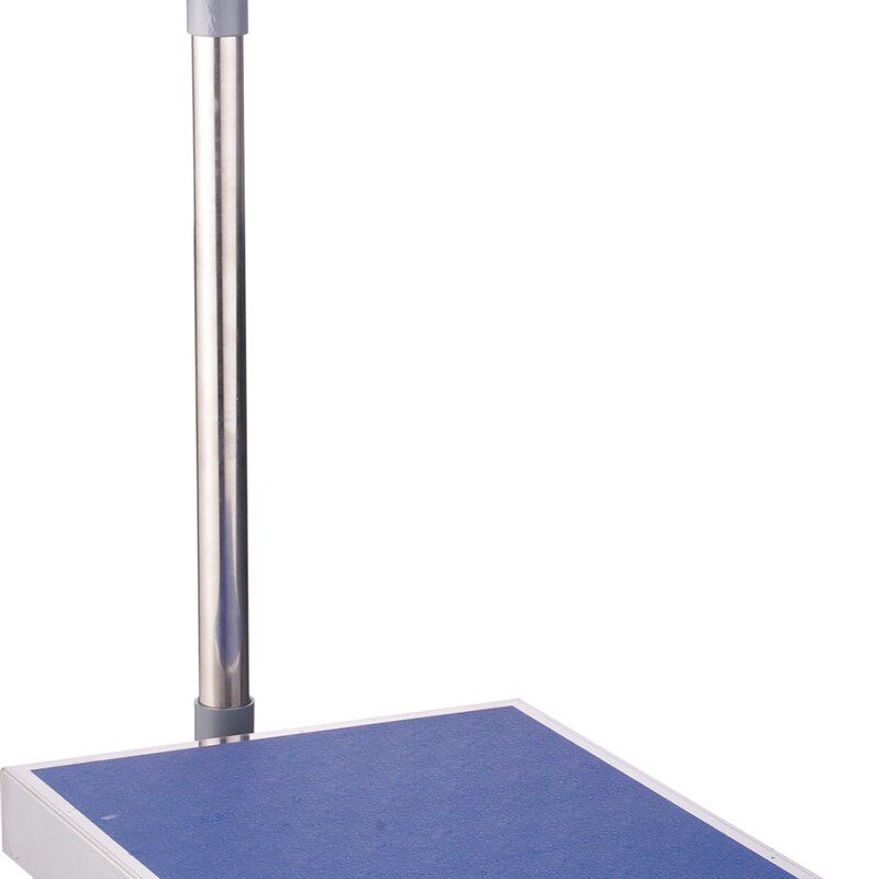 上海浦春电子天平300kg/10g电子称计数计重称台称工厂用工业称