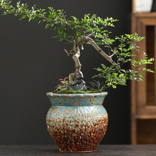 多肉花盆陶瓷透气粗陶老桩法师植物花盆器紫砂大号陶罐矮胖盆