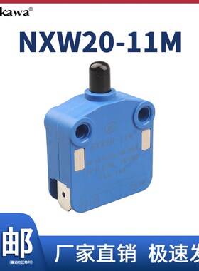 微动开关NXW20-11M01 10磁吹开关CSK行程限位自复位柜子门开关