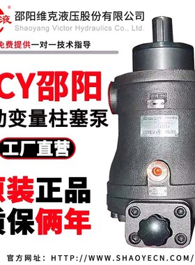 邵阳维克液压轴向柱塞泵SY-10/25/32/40/63/80/100/125SCY14-1E/B