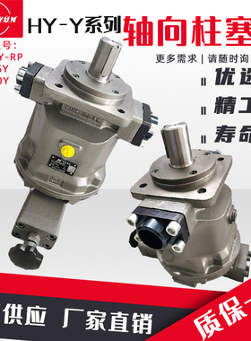 江苏恒源液压HY80Y-RP 25Y 40Y 10Y 63Y-LP 160Y 250Y-RP柱塞油泵