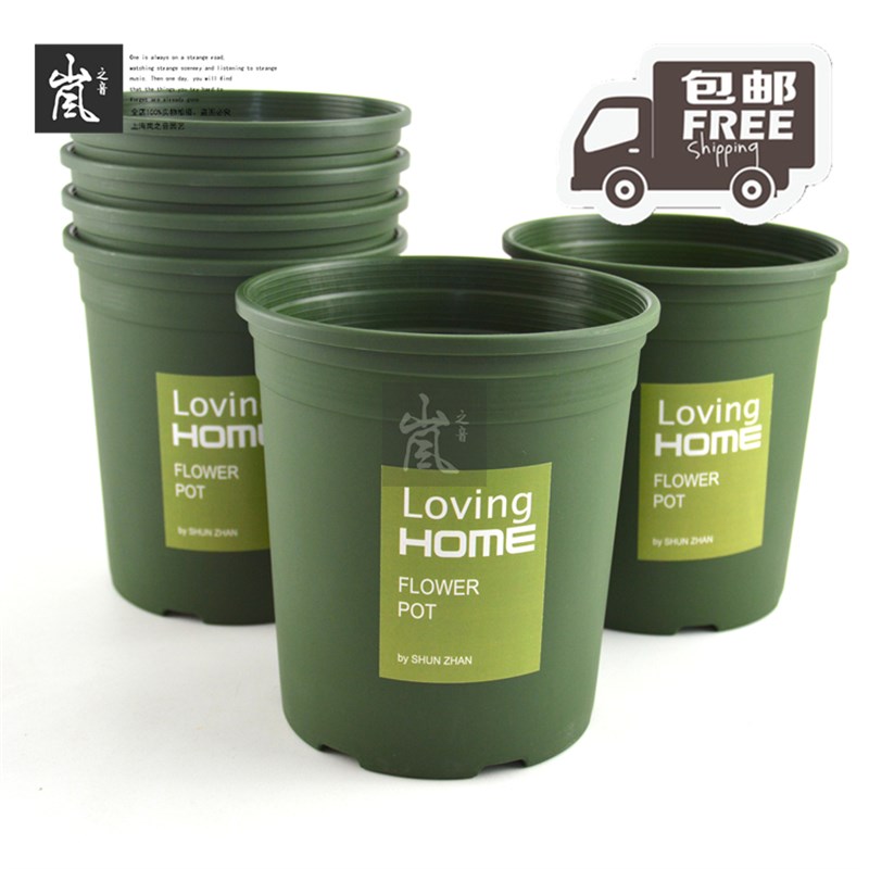 套餐丨【8个装】新版1+伦盆 多肉植物老桩 法师欧月种植花盆绿植