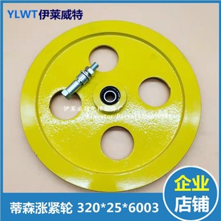 涨紧轮 6205 蒂森涨紧轮 厚25 6003涨紧轮 直径320 电梯配件