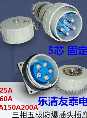 乐清友泰无火花型防爆插头插座连接器单相YTGZ-15A60A100A6芯10芯