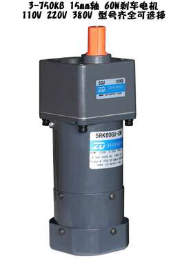 ZD中大60W交流电磁抱闸减速刹车电机5RK60GU-CMF/5RK60RGU-CMF