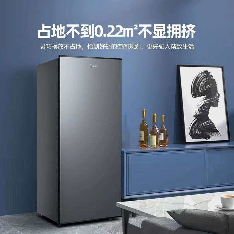 北极熊立式冰柜抽屉式家用全冷冻柜侧开门立体大冷柜小型冰箱母乳