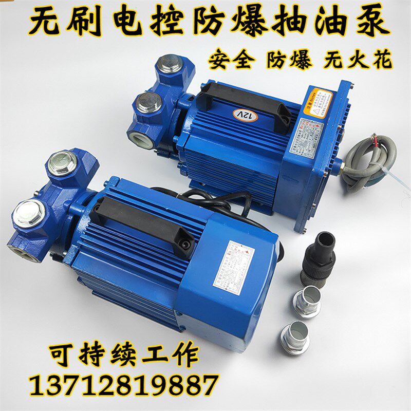 电动抽油泵12V24V220V无刷防爆汽油泵小型计量自吸泵静音卸油泵