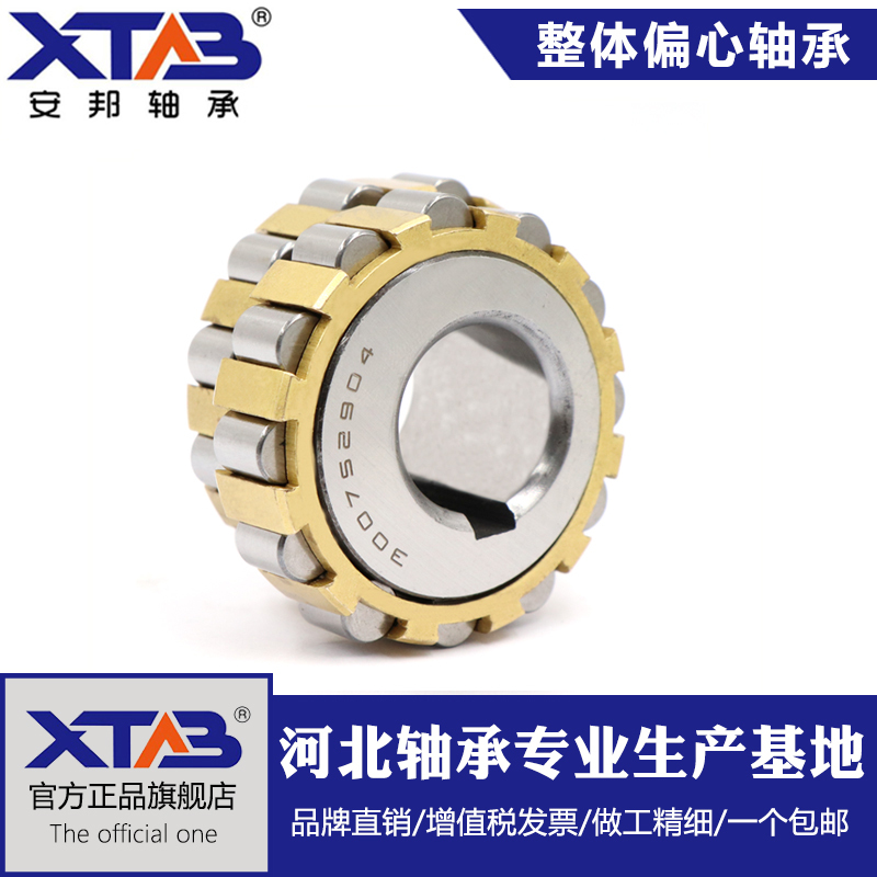 安邦减速机偏心轴承RN204 205 206 307 308 309 312 219 222 228M