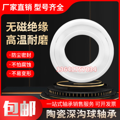 TET进口高速氧化锆陶瓷轴承6300 6301 6302 6303 6304 6305CE 2RS