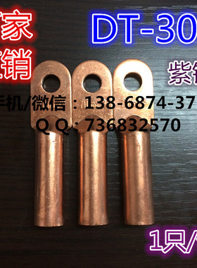 铜鼻子 线鼻子 电缆铜接线端子 铜管鼻 DT-300MM  全铜 A级 单只