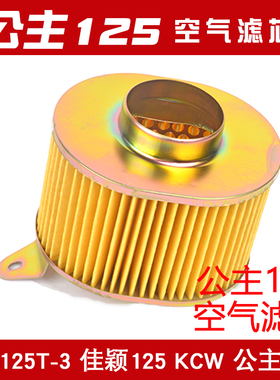 适用踏板摩托车WH125T-3-5E彩E影茜茜公主SDH125T-22A-2空气滤芯