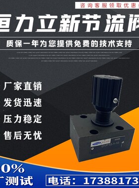 SHLIXIN上海立新节流截止阀DVP8-1-10 DRVP8-1-10液压阀DRV8 DV8