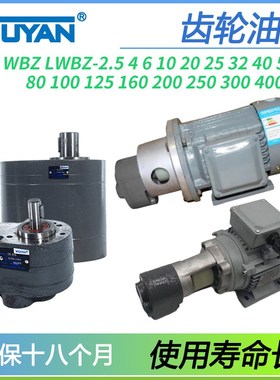 LWBZ200齿轮泵CB-B2.5/4/6/10BM16/20/25/32/40/50/63/80/100/125