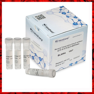 稳定快速一步法RT-PCR 反转录 逆转录试剂盒 218161 BL699A