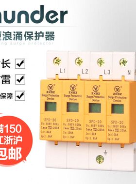 中厦浪涌家用防雷击避雷器开关电涌/泳保护器SPD20KA4P4极220vD级