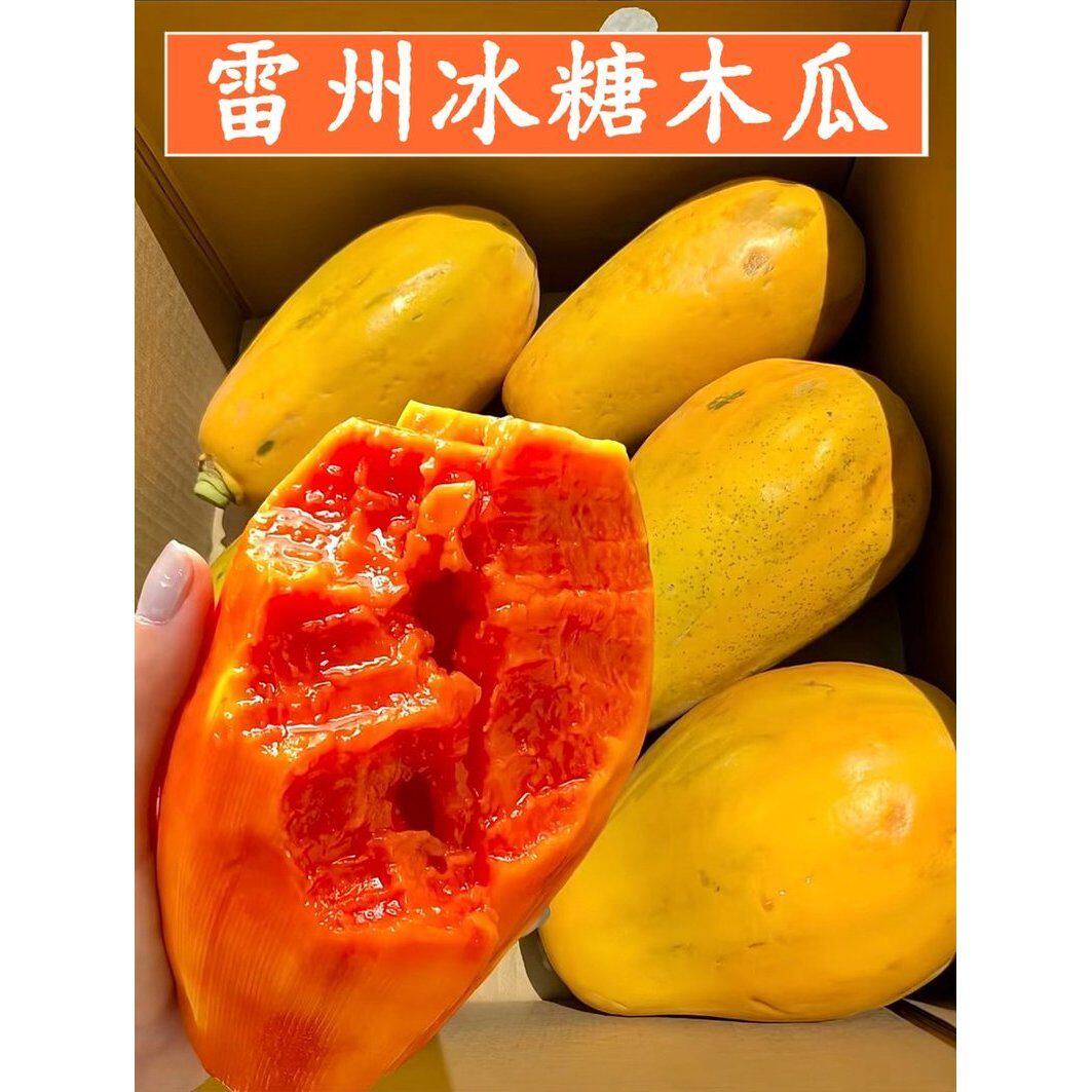 【树上熟冰糖心】雷州牛奶木瓜 香甜低糖孕妈宝宝优选 京东送上门