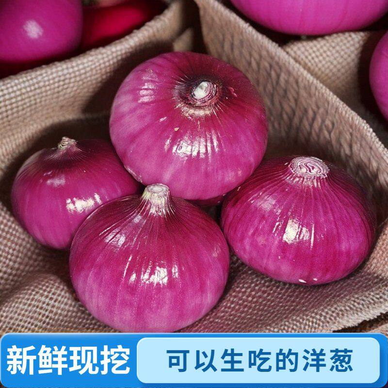 【中大果】2026新鲜现挖紫皮红皮洋葱生吃微辣农家自种农产品5斤