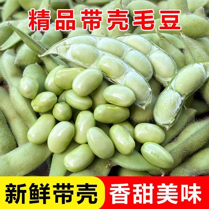 产地直发新鲜现摘带壳毛豆农家种植现发当季时令ZT