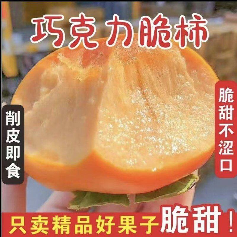 【冰糖心脆柿】2026年新鲜采摘香甜多汁山西阳丰脆甜柿果园直发