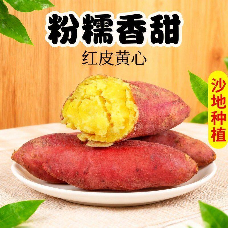 【板栗红薯】陕西临潼种植新鲜现挖红皮黄心干面粉糯香甜蒸煮粗粮