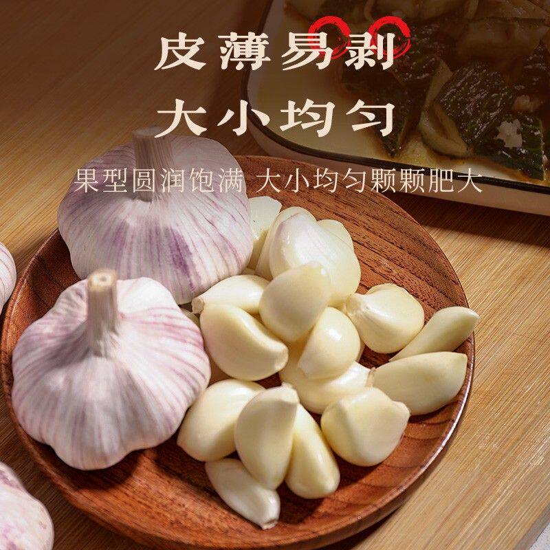 干蒜紫皮大蒜头大蒜紫白皮大蒜蒜汁浓郁200克-5斤食用蒜干蒜辛辣
