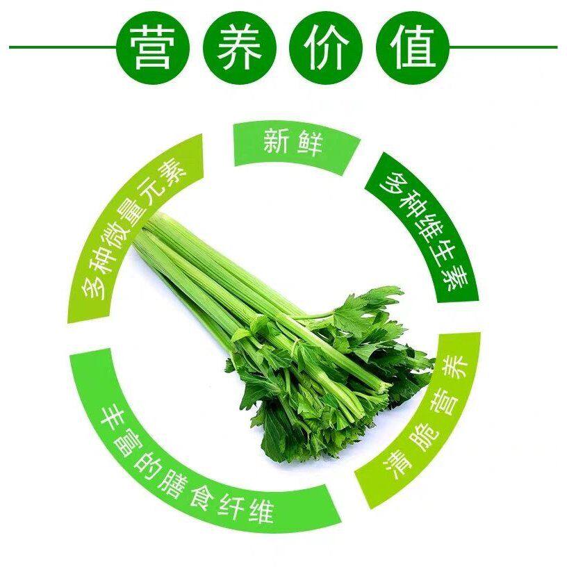 【顺丰/京东冷链】水果西芹当季新鲜脆嫩多汁可榨汁生吃蔬菜沙拉