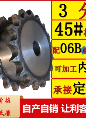 3分06B45#钢双驱动假双排链轮挂单链条非标定制厂家直销加工内孔