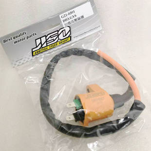 台湾JISO豪迈GY6.dio50改装 加强高压包高压线圈