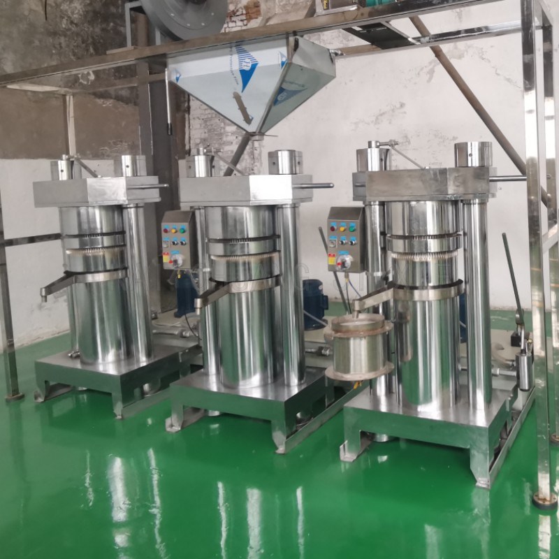 商用全自动榨油机 立式芝麻榨油机 油莎果文冠果压油机