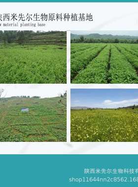 富硒麦芽粉100ppm富硒大麦苗粉麦芽提取物200ppm300ppm