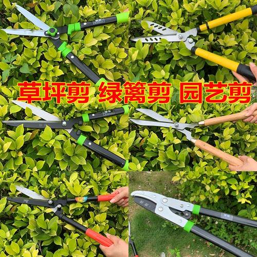 极速。伸缩型果树修枝剪大剪刀园艺剪刀家用花剪修剪树枝剪刀粗枝