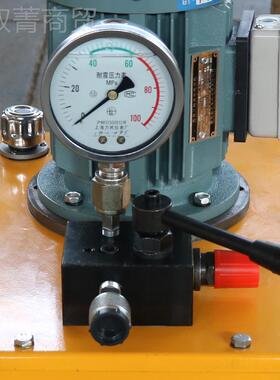 厂家 压电动泵定制DBD0.8高M电动泵液压电油液RYX泵单向超压动泵