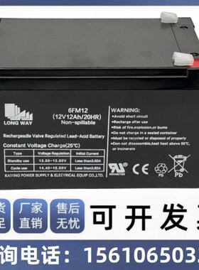 LONGWAY 龙威蓄电池6FM12 (12V12Ah/20HR) 音响儿童电动汽车电瓶