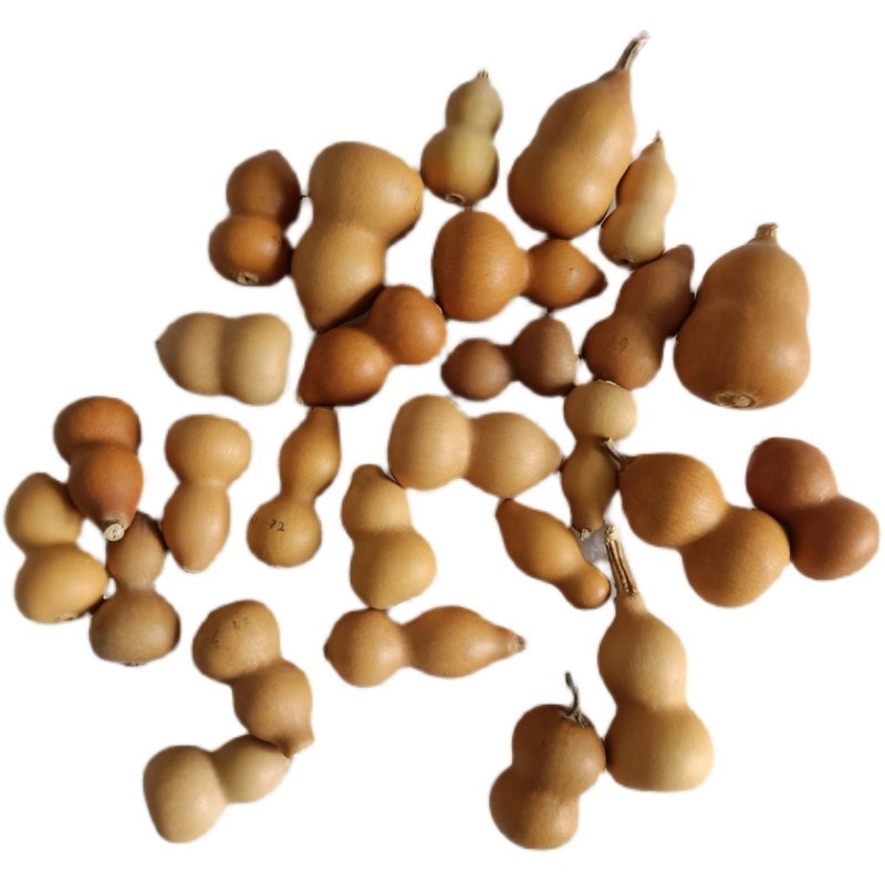 精品天然草里金i小葫芦手捻把玩收藏DIY小挂件铁包金3厘米