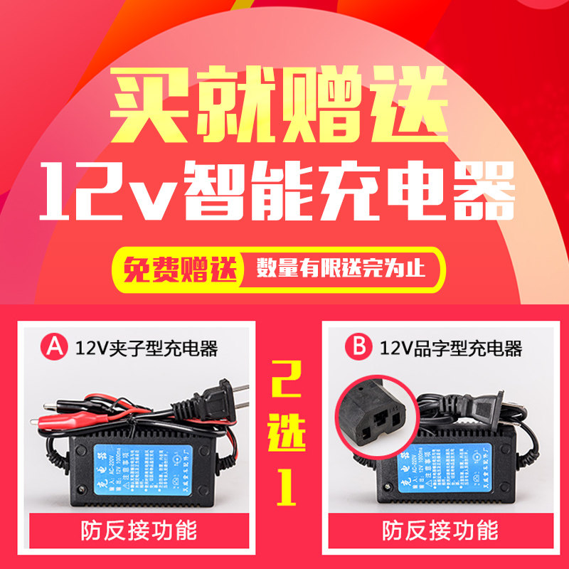12伏9安电池12V9AH蓄电池照明音响监控配件12V喷雾器电瓶送充电器