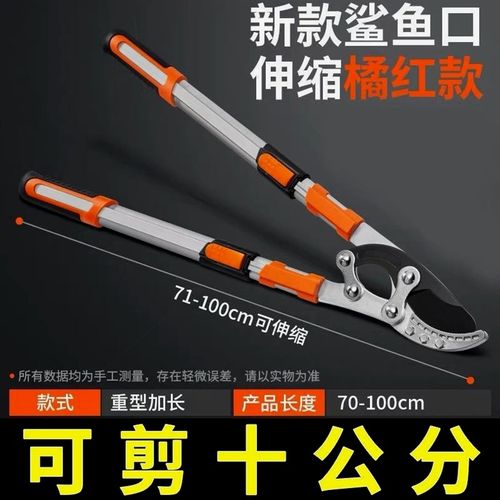 德国进口修剪树枝园林果树剪刀修枝剪高粗枝剪大力剪省力伸缩园艺
