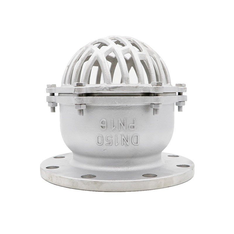 H42W-16R 316L不锈钢底阀水泵底阀DN40 50 65 80 100 125 150 200