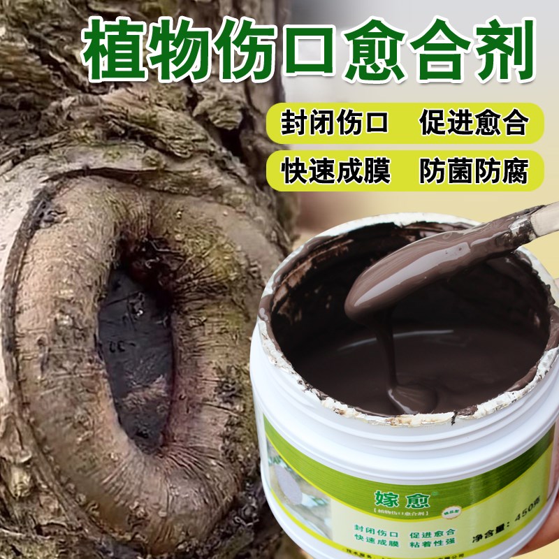 嫁愈植物剂愈伤涂膜剂盆栽果盆景树木嫁接S修剪伤愈膏封口
